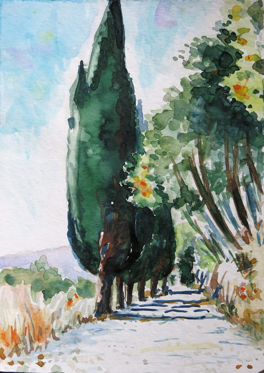 Zypressen – Aquarell auf Papier