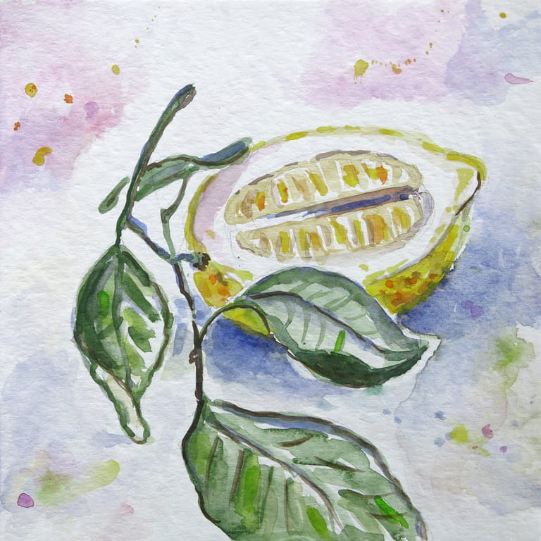Zitrone – Aquarell auf Papier